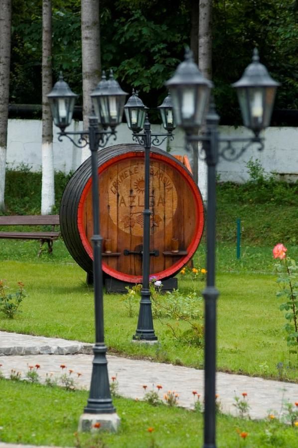 Гостевой дом Pensiunea Rhein Азуга-26